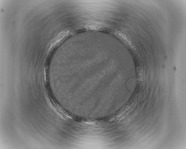 X0000087670738200705251618