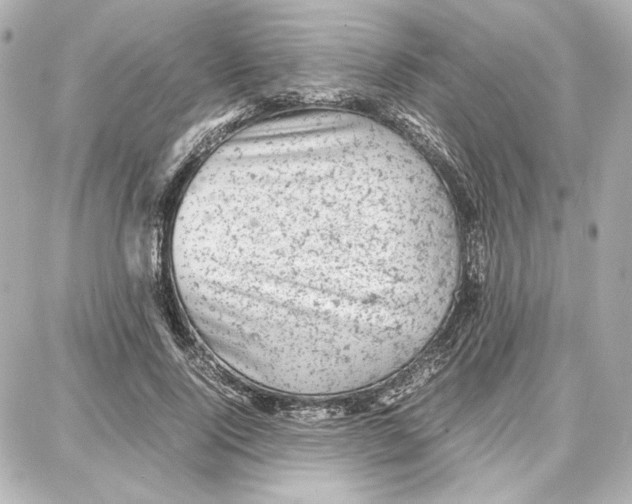 X0000087670740200705251618