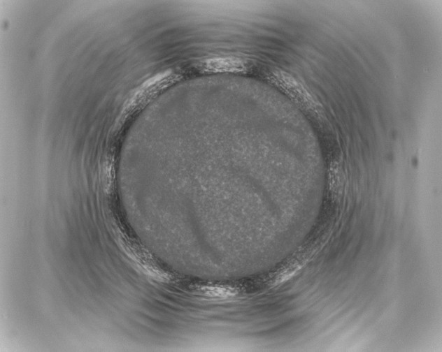 X0000087670741200705251618