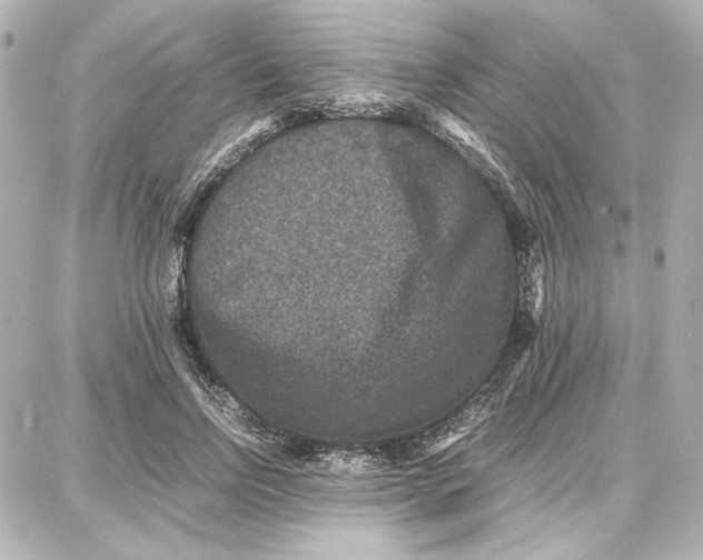 X0000087670742200705251618