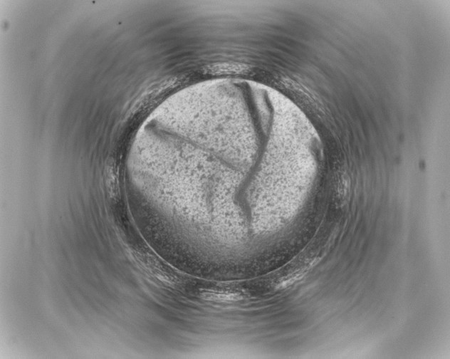 X0000087670743200705251618