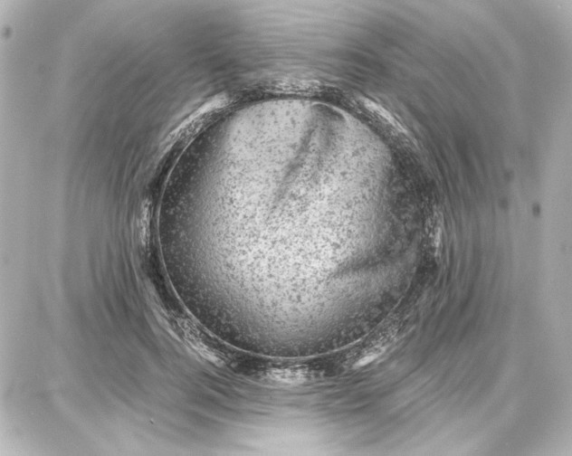 X0000087670744200705251618