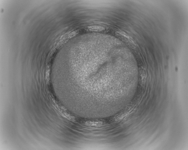 X0000087670745200705251618