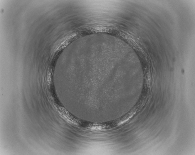 X0000087670746200705251618