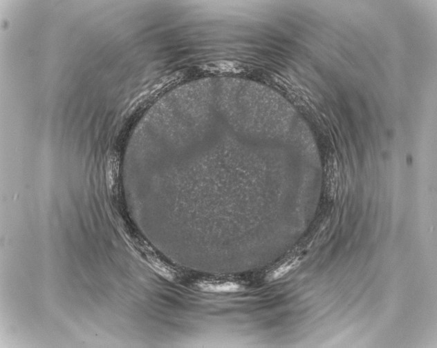 X0000087670747200705251618