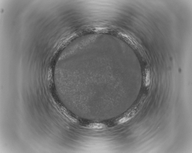 X0000087670748200705251618