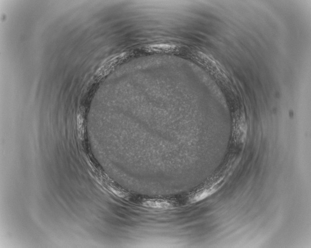 X0000087670749200705251618