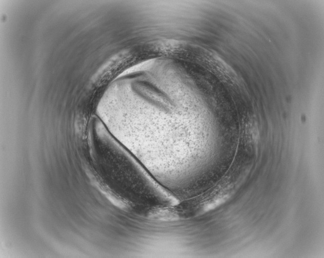 X0000087670750200705251618