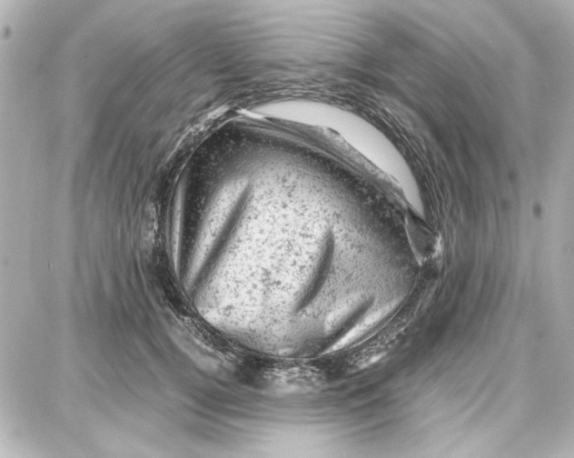 X0000087670752200705251618