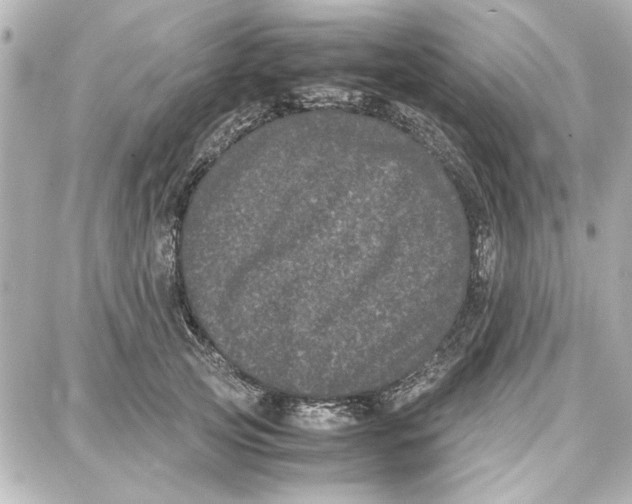 X0000087670753200705251618