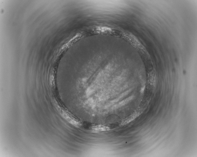 X0000087670754200705251618