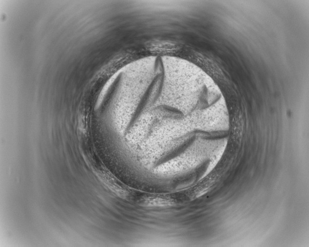 X0000087670755200705251618