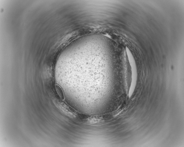 X0000087670756200705251618