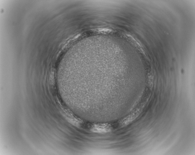 X0000087670757200705251618