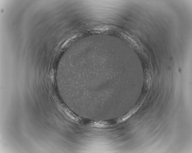 X0000087670758200705251618