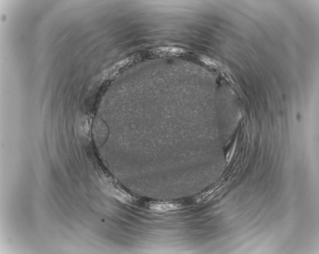 X0000087670759200705251618