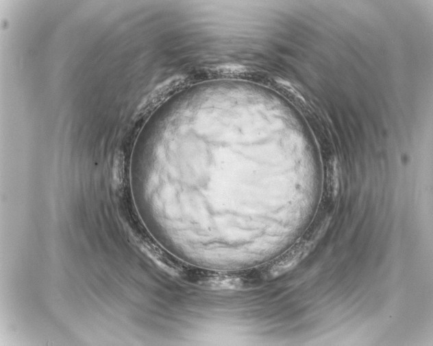 X0000087670760200705251618