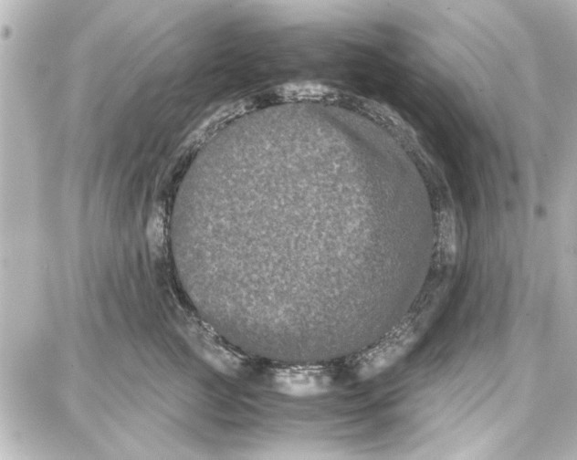 X0000087670761200705251618