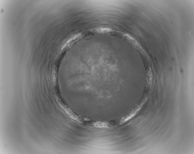 X0000087670762200705251619