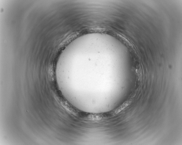 X0000087670764200705251619