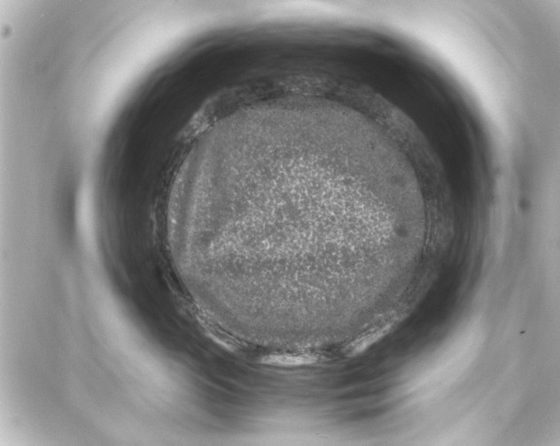 X0000087670765200705251619