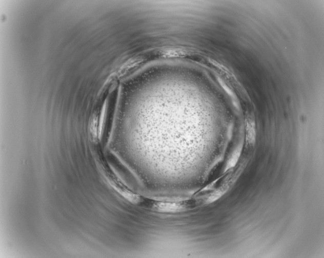 X0000087670766200705251619