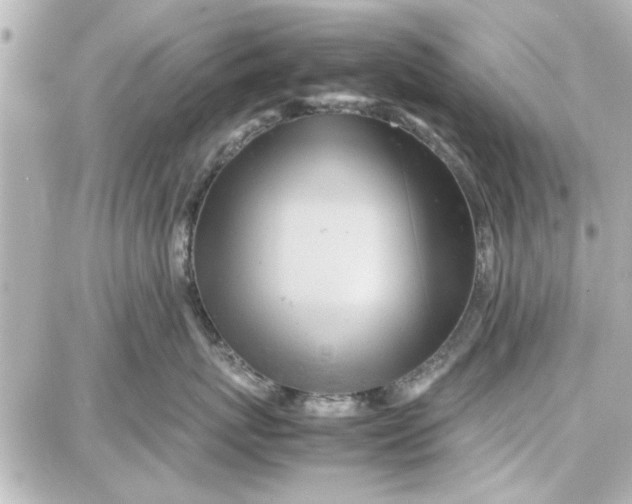 X0000087670767200705251619