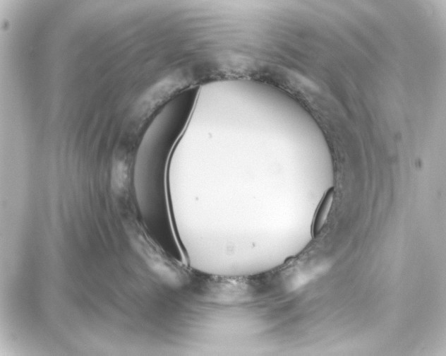 X0000087670768200705251619