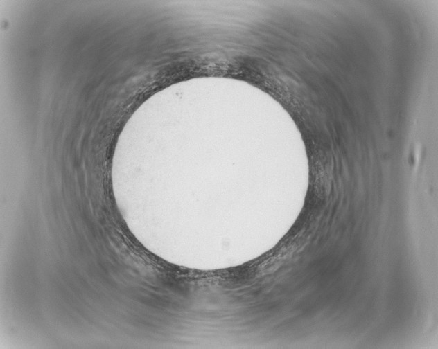 X0000087670769200705251618