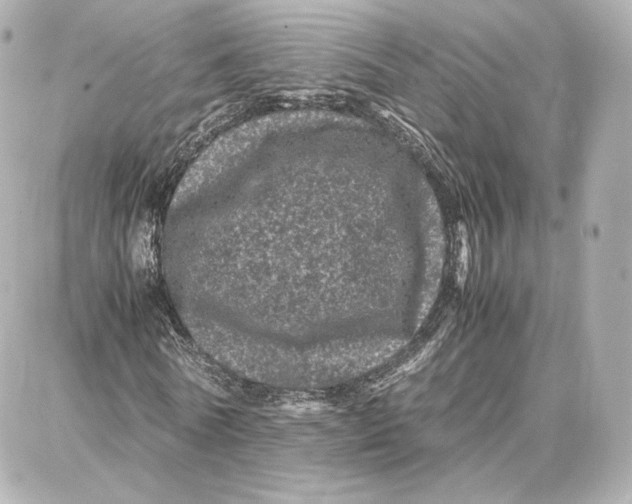 X0000087670770200705251618