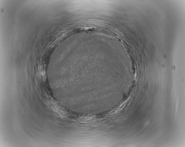 X0000087670771200705251618