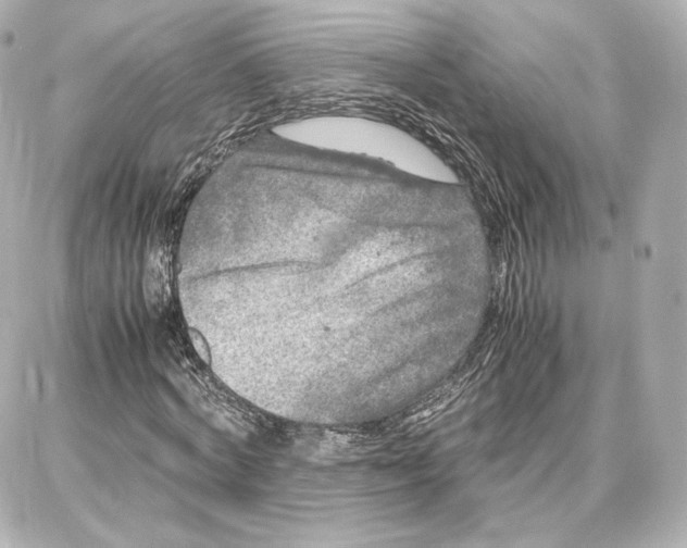 X0000087670772200705251618