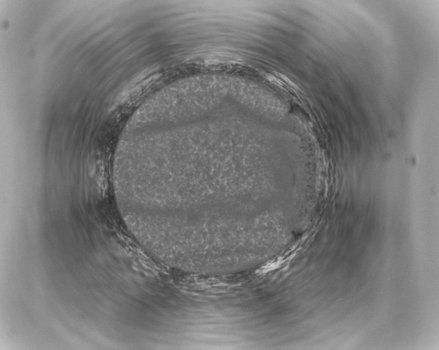 X0000087670774200705251618