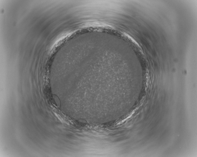 X0000087670775200705251618