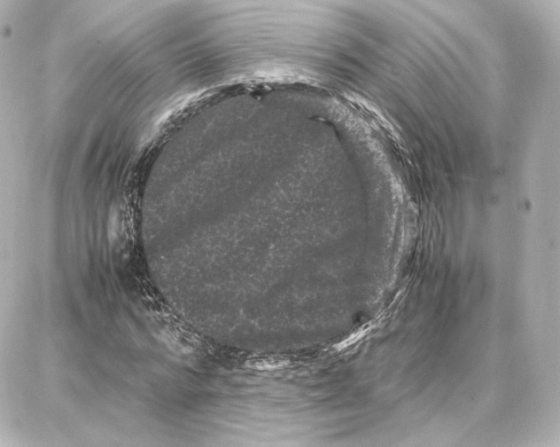 X0000087670776200705251618