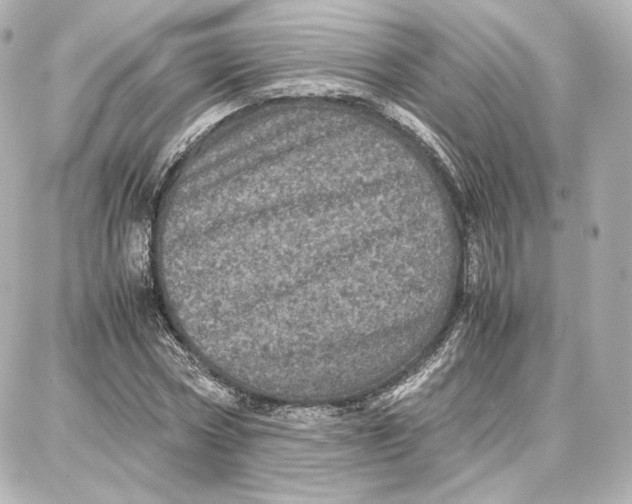 X0000087670778200705251618