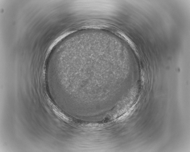 X0000087670779200705251618