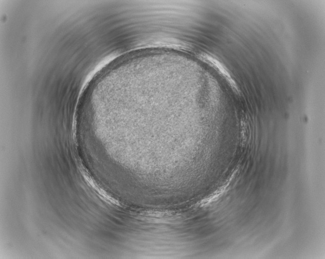 X0000087670780200705251618