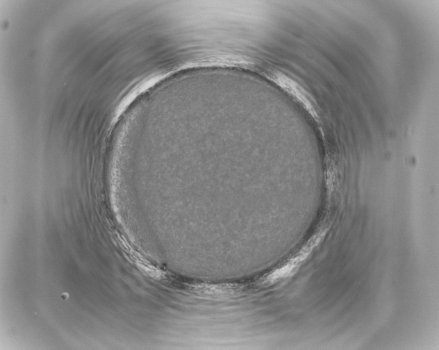 X0000087670781200705251618