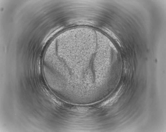 X0000087670782200705251618