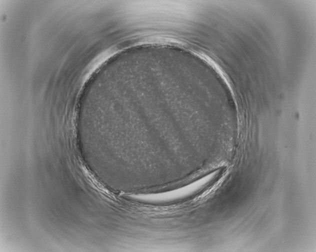 X0000087670783200705251618