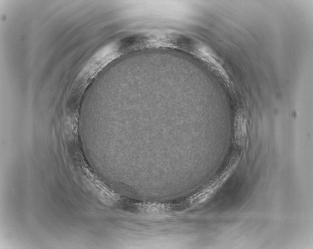 X0000087670785200705251618