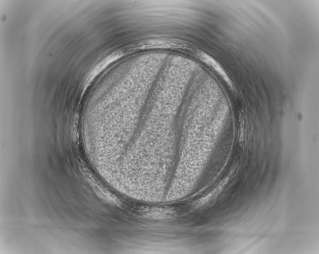 X0000087670786200705251618