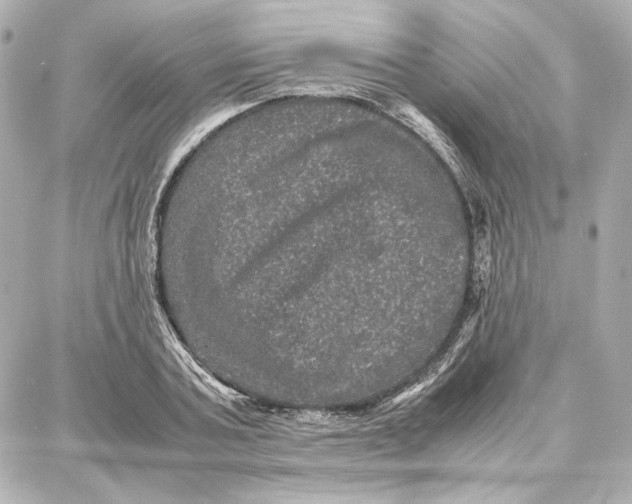 X0000087670787200705251618