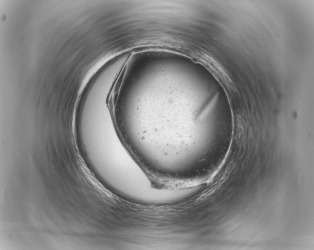 X0000087670788200705251618