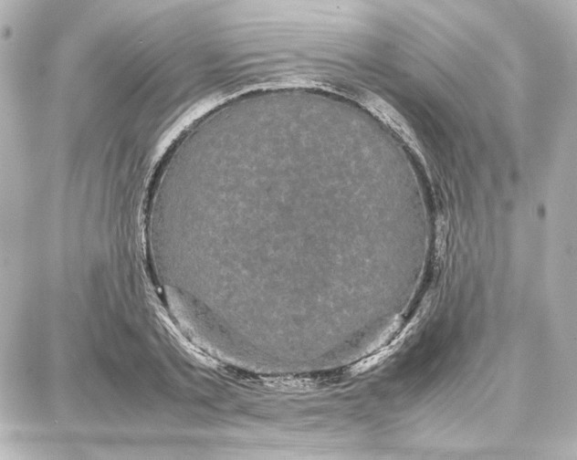 X0000087670789200705251617