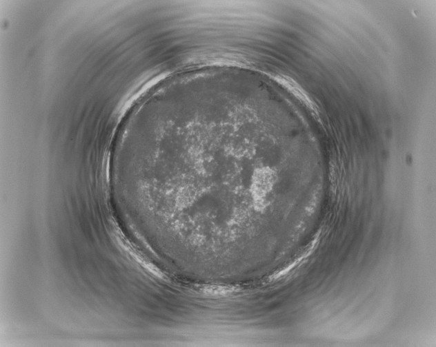 X0000087670790200705251617