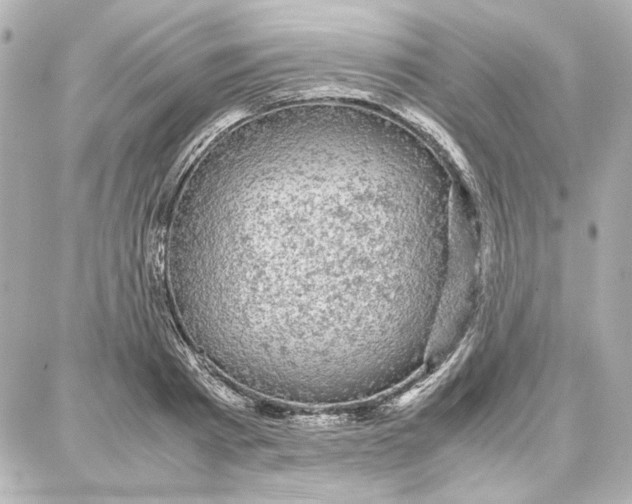 X0000087670793200705251617