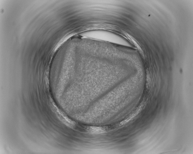 X0000087670794200705251617