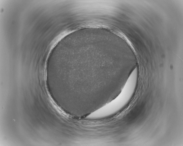 X0000087670795200705251617